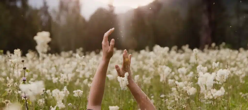 Outstretched hands reaching toward the sky in a serene meadow filled with blooming wildflowers and soft sunlight.