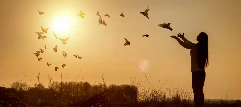 Silhouette of a woman releasing birds at sunset. The warm glow of the sun illuminates the scene as birds take flight from her hands, symbolizing freedom and new beginnings.