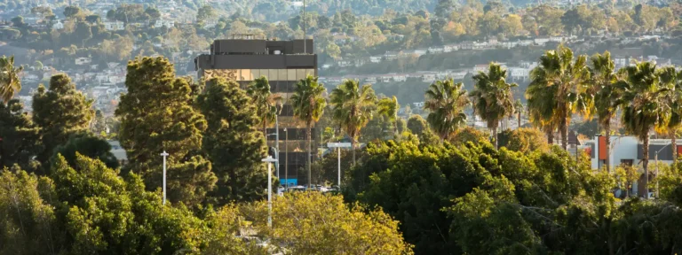 Cityscape of Torrance, CA with palm trees, glass office building, and hillside homes in the background.
